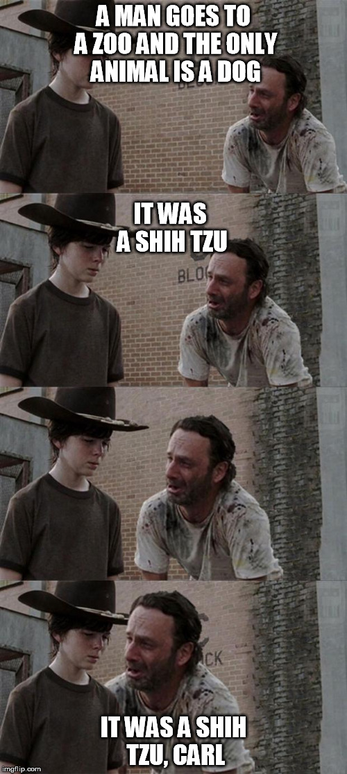 Rick and Carl Long | A MAN GOES TO A ZOO AND THE ONLY ANIMAL IS A DOG IT WAS A SHIH TZU, CARL IT WAS A SHIH TZU | image tagged in hey carl the walking dead | made w/ Imgflip meme maker