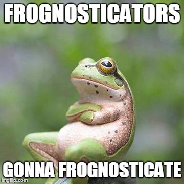 frog·nos·ti·cate, /fräɡˈnästəˌkāt/: (vb) To emulate the epic, zen master chill that only a frog can truly understand  | FROGNOSTICATORS GONNA FROGNOSTICATE | image tagged in frognosticating | made w/ Imgflip meme maker