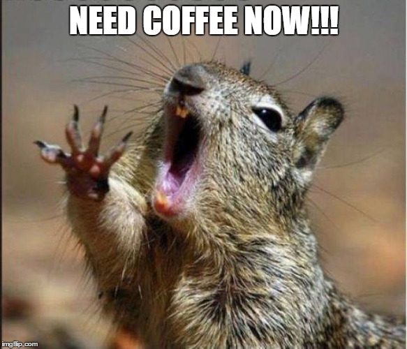 coffee | NEED COFFEE NOW!!! | image tagged in coffee,morning | made w/ Imgflip meme maker