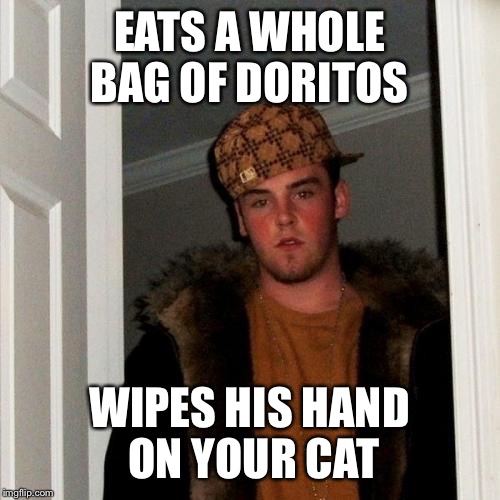 Scumbag Steve Meme | EATS A WHOLE BAG OF DORITOS WIPES HIS HAND ON YOUR CAT | image tagged in memes,scumbag steve | made w/ Imgflip meme maker