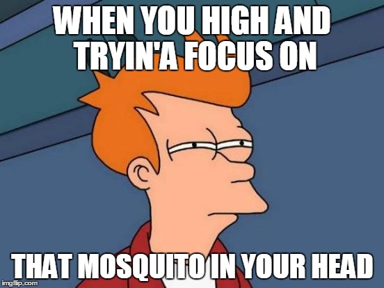 Weed that weed hits you | WHEN YOU HIGH AND TRYIN'A FOCUS ON THAT MOSQUITO IN YOUR HEAD | image tagged in memes,futurama fry,weed,high | made w/ Imgflip meme maker