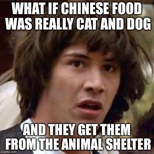 Conspiracy Keanu | WHAT IF CHINESE FOOD WAS REALLY CAT AND DOG AND THEY GET THEM FROM THE ANIMAL SHELTER | image tagged in memes,conspiracy keanu | made w/ Imgflip meme maker