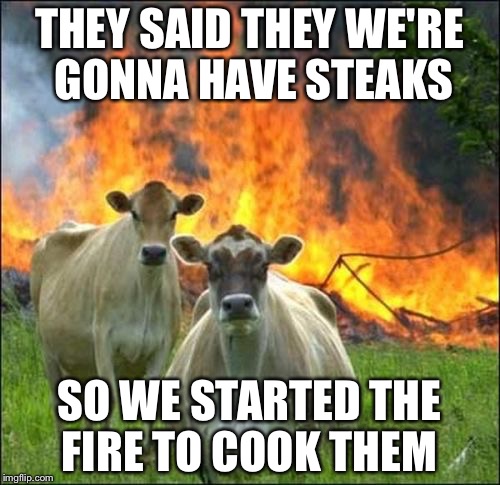 Evil Cows | THEY SAID THEY WE'RE GONNA HAVE STEAKS SO WE STARTED THE FIRE TO COOK THEM | image tagged in memes,evil cows | made w/ Imgflip meme maker