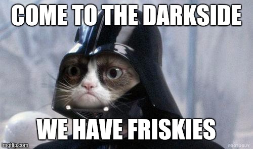 Grumpy Cat Star Wars | COME TO THE DARKSIDE WE HAVE FRISKIES | image tagged in memes,grumpy cat star wars,grumpy cat | made w/ Imgflip meme maker