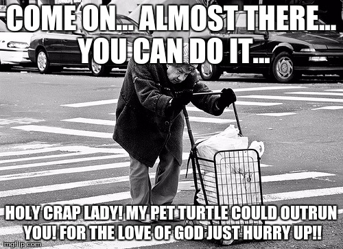 COME ON... ALMOST THERE... YOU CAN DO IT... HOLY CRAP LADY! MY PET TURTLE COULD OUTRUN YOU! FOR THE LOVE OF GOD JUST HURRY UP!! | made w/ Imgflip meme maker