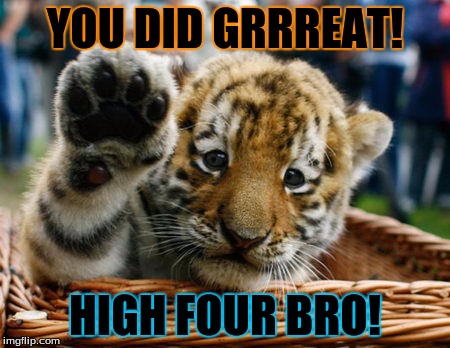 YOU DID GRRREAT! HIGH FOUR BRO! | image tagged in highpaw | made w/ Imgflip meme maker