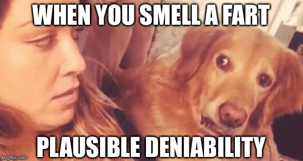 The start of a "whodunit" | WHEN YOU SMELL A FART PLAUSIBLE DENIABILITY | image tagged in fart,pepperidge farm remembers | made w/ Imgflip meme maker