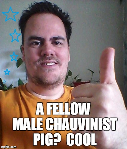 A FELLOW MALE CHAUVINIST PIG?  COOL | image tagged in cool | made w/ Imgflip meme maker