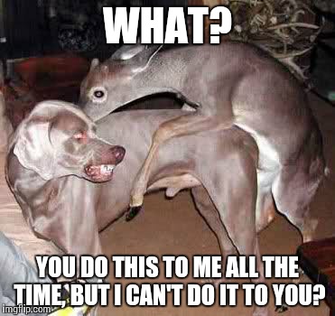 Deer humps dog | WHAT? YOU DO THIS TO ME ALL THE TIME, BUT I CAN'T DO IT TO YOU? | image tagged in dogs | made w/ Imgflip meme maker