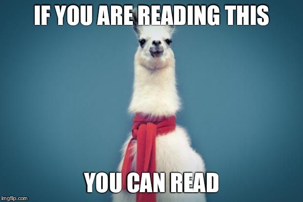 Smart Llama | IF YOU ARE READING THIS YOU CAN READ | image tagged in smart llama | made w/ Imgflip meme maker