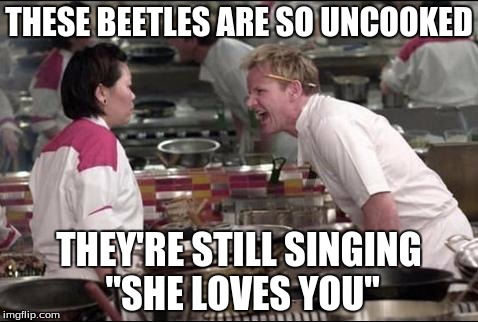 Angry Chef Gordon Ramsay Meme | THESE BEETLES ARE SO UNCOOKED THEY'RE STILL SINGING "SHE LOVES YOU" | image tagged in memes,angry chef gordon ramsay | made w/ Imgflip meme maker