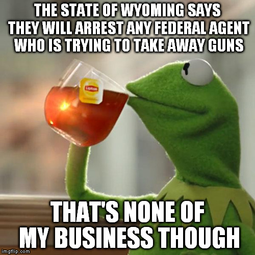 But That's None Of My Business Meme | THE STATE OF WYOMING SAYS THEY WILL ARREST ANY FEDERAL AGENT WHO IS TRYING TO TAKE AWAY GUNS THAT'S NONE OF MY BUSINESS THOUGH | image tagged in memes,but thats none of my business,kermit the frog | made w/ Imgflip meme maker