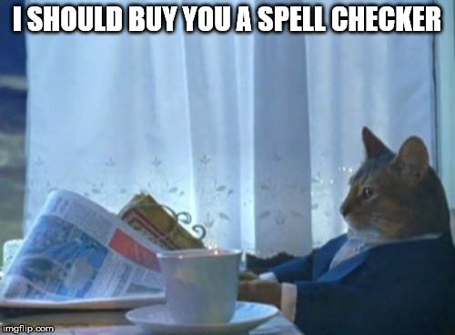 I Should Buy A Boat Cat Meme | I SHOULD BUY YOU A SPELL CHECKER | image tagged in memes,i should buy a boat cat | made w/ Imgflip meme maker