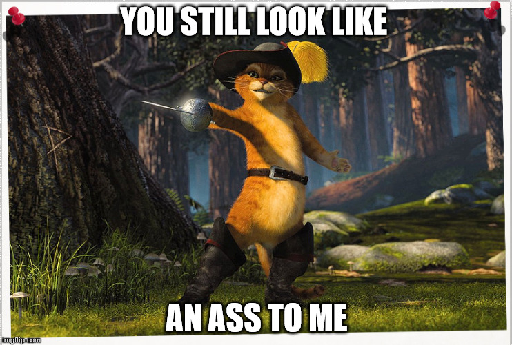 YOU STILL LOOK LIKE AN ASS TO ME | image tagged in puss in boots | made w/ Imgflip meme maker
