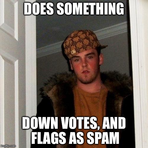 Scumbag Steve Meme | DOES SOMETHING DOWN VOTES, AND FLAGS AS SPAM | image tagged in memes,scumbag steve | made w/ Imgflip meme maker