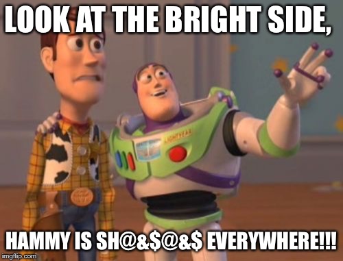 X, X Everywhere | LOOK AT THE BRIGHT SIDE, HAMMY IS SH@&$@&$ EVERYWHERE!!! | image tagged in memes,x x everywhere | made w/ Imgflip meme maker