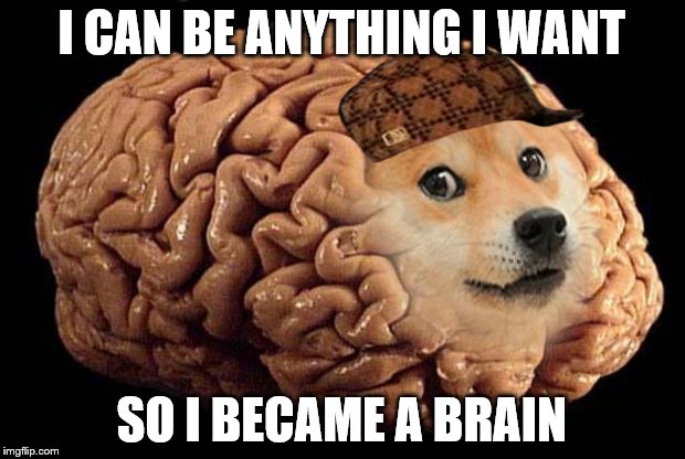 doge braine | I CAN BE ANYTHING I WANT SO I BECAME A BRAIN | image tagged in doge braine,scumbag | made w/ Imgflip meme maker