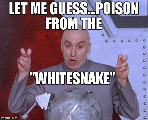 Dr Evil Laser Meme | LET ME GUESS...POISON FROM THE "WHITESNAKE" | image tagged in memes,dr evil laser | made w/ Imgflip meme maker