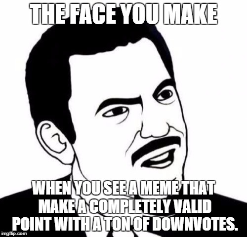 Are people just like "Shiz I can't counter that, DOWNVOTE!" | THE FACE YOU MAKE WHEN YOU SEE A MEME THAT MAKE A COMPLETELY VALID POINT WITH A TON OF DOWNVOTES. | image tagged in memes,seriously face | made w/ Imgflip meme maker
