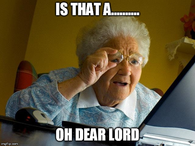 Grandma Finds The Internet Meme | IS THAT A.......... OH DEAR LORD | image tagged in memes,grandma finds the internet | made w/ Imgflip meme maker