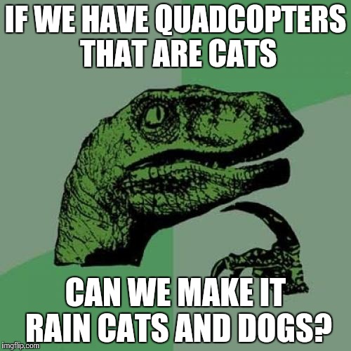 Philosoraptor talks about quadcopters. | IF WE HAVE QUADCOPTERS THAT ARE CATS CAN WE MAKE IT RAIN CATS AND DOGS? | image tagged in memes,philosoraptor,cats,rain | made w/ Imgflip meme maker