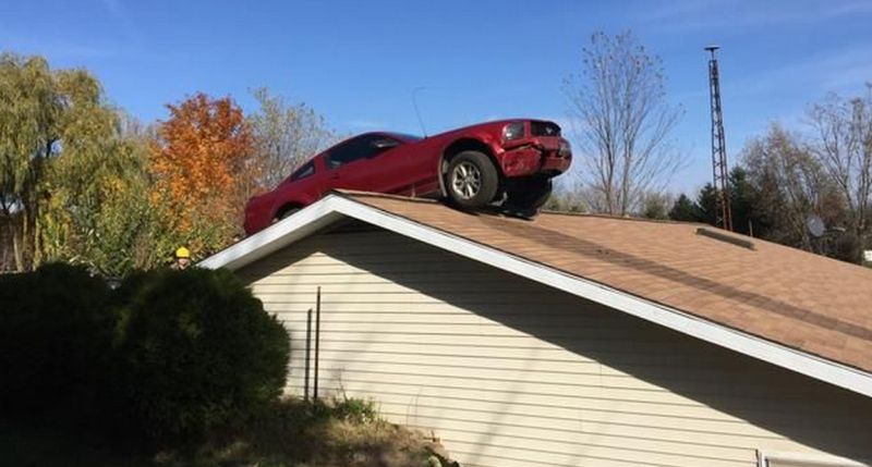 Mustang on a roof Blank Meme Template