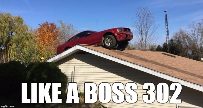 Mustang on a roof | LIKE A BOSS 302 | image tagged in mustang on a roof | made w/ Imgflip meme maker