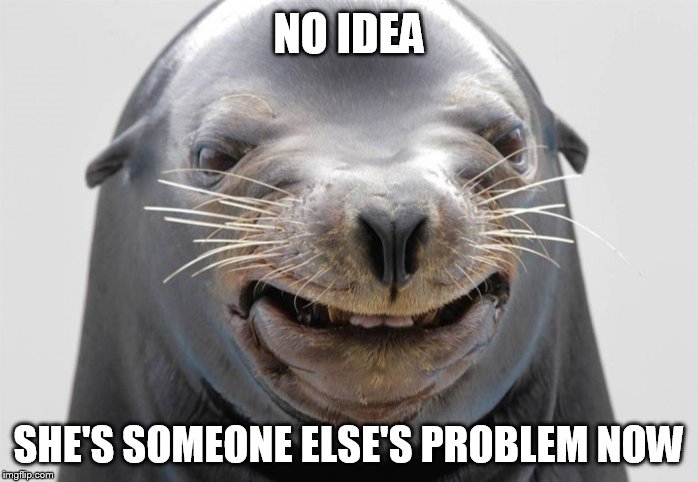 happy seal | NO IDEA SHE'S SOMEONE ELSE'S PROBLEM NOW | image tagged in happy seal | made w/ Imgflip meme maker