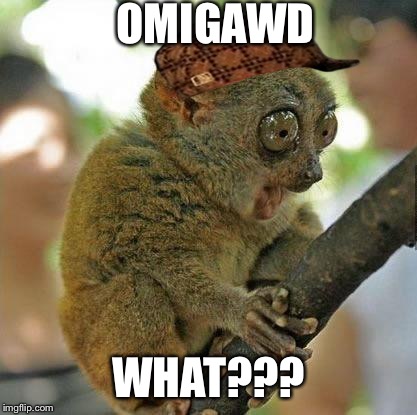 Oh my God!! | OMIGAWD WHAT??? | image tagged in oh my god,scumbag | made w/ Imgflip meme maker