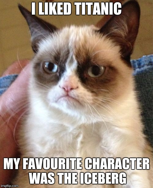 Grumpy Cat Meme | I LIKED TITANIC MY FAVOURITE CHARACTER WAS THE ICEBERG | image tagged in memes,grumpy cat | made w/ Imgflip meme maker