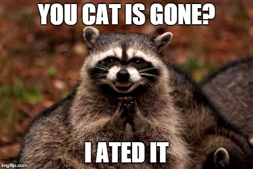 Evil Plotting Raccoon | YOU CAT IS GONE? I ATED IT | image tagged in memes,evil plotting raccoon | made w/ Imgflip meme maker