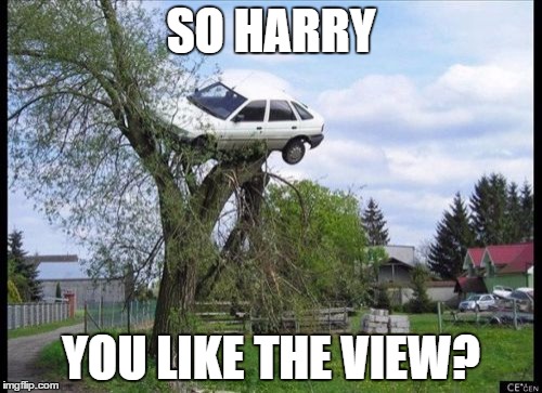 Secure Parking | SO HARRY YOU LIKE THE VIEW? | image tagged in memes,secure parking | made w/ Imgflip meme maker