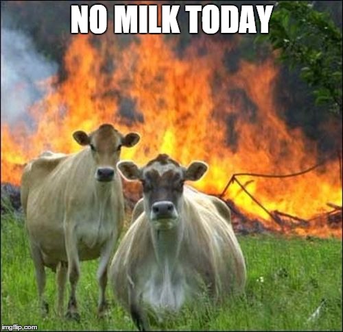 Evil Cows | NO MILK TODAY | image tagged in memes,evil cows | made w/ Imgflip meme maker