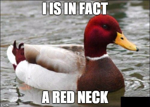 Malicious Advice Mallard | I IS IN FACT A RED NECK | image tagged in memes,malicious advice mallard | made w/ Imgflip meme maker