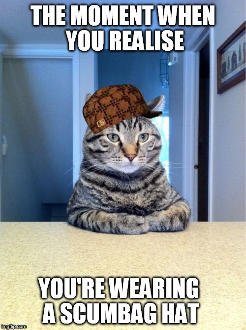 Take A Seat Cat | THE MOMENT WHEN YOU REALISE YOU'RE WEARING A SCUMBAG HAT | image tagged in memes,take a seat cat,scumbag | made w/ Imgflip meme maker