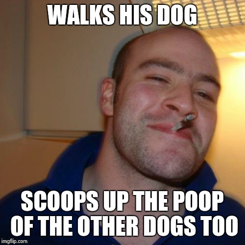 Good Guy Greg | WALKS HIS DOG SCOOPS UP THE POOP OF THE OTHER DOGS TOO | image tagged in memes,good guy greg | made w/ Imgflip meme maker