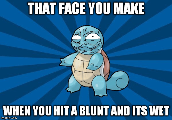 THAT FACE YOU MAKE WHEN YOU HIT A BLUNT AND ITS WET | image tagged in skyenett | made w/ Imgflip meme maker