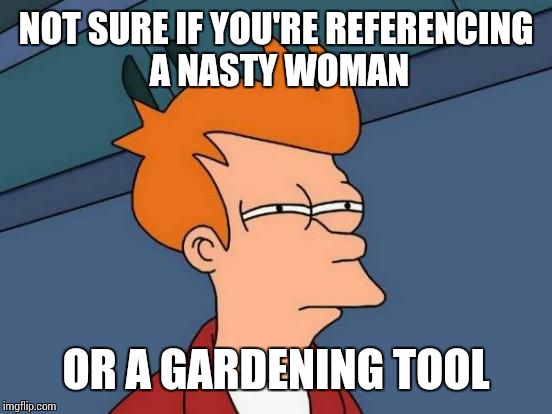 Futurama Fry Meme | NOT SURE IF YOU'RE REFERENCING A NASTY WOMAN OR A GARDENING TOOL | image tagged in memes,futurama fry | made w/ Imgflip meme maker