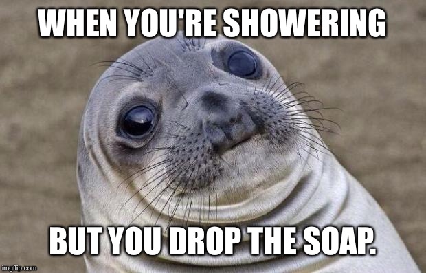 Awkward Moment Sealion | WHEN YOU'RE SHOWERING BUT YOU DROP THE SOAP. | image tagged in memes,awkward moment sealion | made w/ Imgflip meme maker
