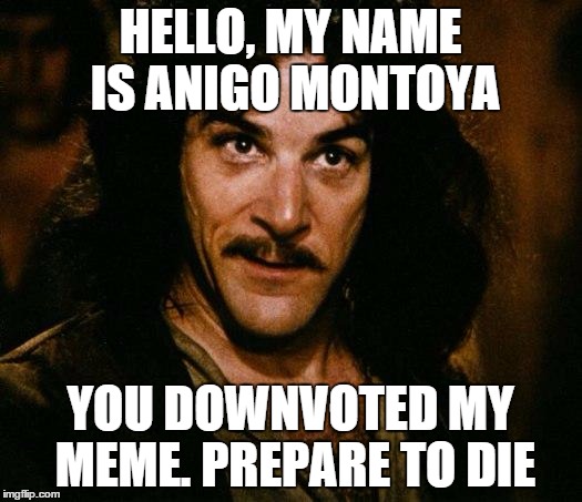 Inigo Montoya | HELLO, MY NAME IS ANIGO MONTOYA YOU DOWNVOTED MY MEME. PREPARE TO DIE | image tagged in memes,inigo montoya | made w/ Imgflip meme maker