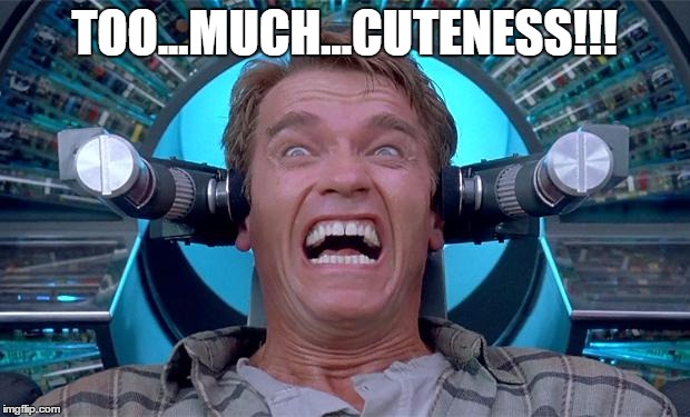 Arnold | TOO...MUCH...CUTENESS!!! | image tagged in arnold | made w/ Imgflip meme maker