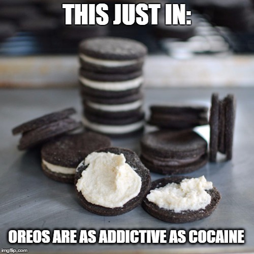 homemade oreos | THIS JUST IN: OREOS ARE AS ADDICTIVE AS COCAINE | image tagged in homemade oreos | made w/ Imgflip meme maker