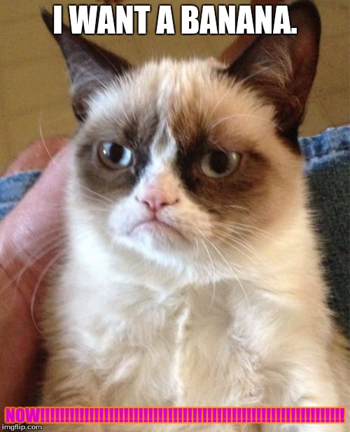 Grumpy Cat | I WANT A BANANA. NOW!!!!!!!!!!!!!!!!!!!!!!!!!!!!!!!!!!!!!!!!!!!!!!!!!!!!!!!!!!!!!! | image tagged in memes,grumpy cat | made w/ Imgflip meme maker
