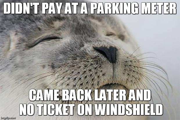 Satisfied Seal | DIDN'T PAY AT A PARKING METER CAME BACK LATER AND NO TICKET ON WINDSHIELD | image tagged in memes,satisfied seal | made w/ Imgflip meme maker