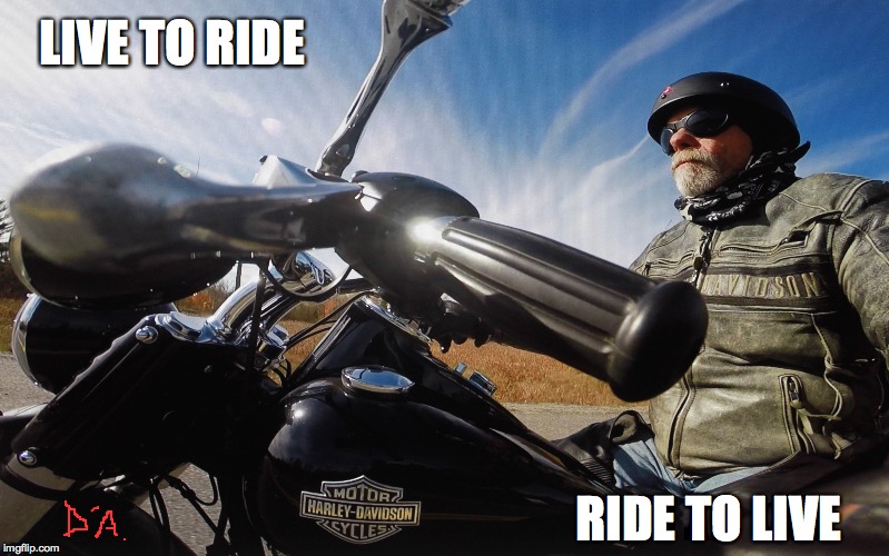 Live To Ride - Ride To Live | LIVE TO RIDE RIDE TO LIVE | image tagged in live to ride,ride to live,harley-davidson,ride hard live free | made w/ Imgflip meme maker