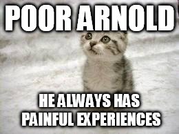 POOR ARNOLD HE ALWAYS HAS PAINFUL EXPERIENCES | image tagged in sad looking cat | made w/ Imgflip meme maker