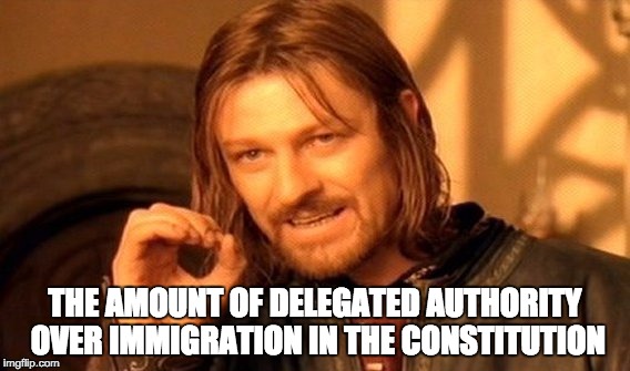 One Does Not Simply | THE AMOUNT OF DELEGATED AUTHORITY OVER IMMIGRATION IN THE CONSTITUTION | image tagged in constitution,immigration | made w/ Imgflip meme maker