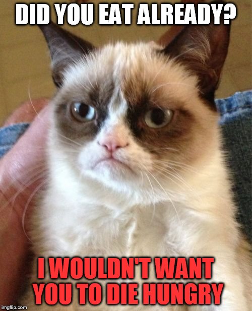 Grumpy Cat Meme | DID YOU EAT ALREADY? I WOULDN'T WANT YOU TO DIE HUNGRY | image tagged in memes,grumpy cat | made w/ Imgflip meme maker