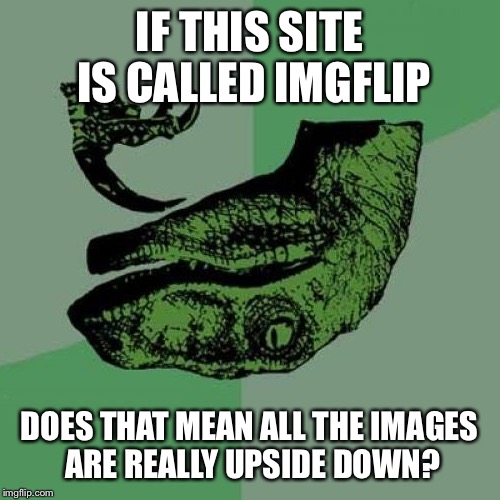 Philosoraptor | IF THIS SITE IS CALLED IMGFLIP DOES THAT MEAN ALL THE IMAGES ARE REALLY UPSIDE DOWN? | image tagged in memes,philosoraptor | made w/ Imgflip meme maker