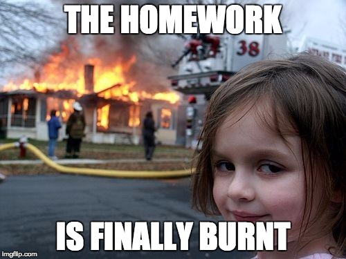 Disaster Girl Meme | THE HOMEWORK IS FINALLY BURNT | image tagged in memes,disaster girl | made w/ Imgflip meme maker